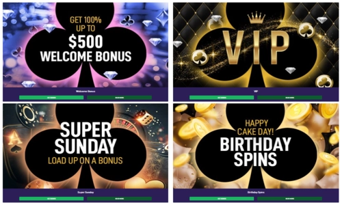 black spins casino promotions