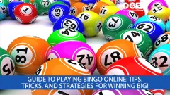 guide to playing bingo
