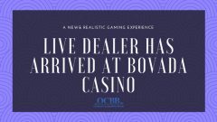 new live bovada dealer