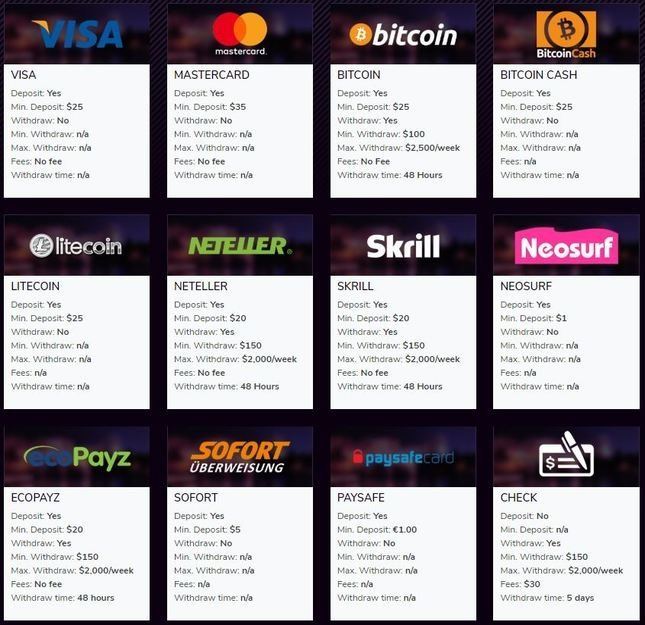  image of payments accepted which include Visa, MasterCard, Bitcoin, Bitcoin cash, Litecoin, Neteller, Skrill, Neosurf, Ecopayz, Sofort, Paysafe, and check