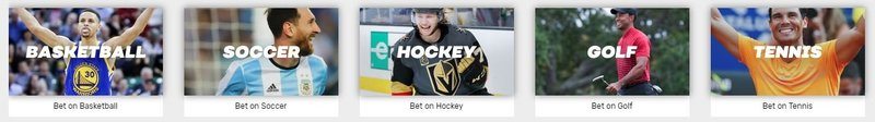 bovada sports betting