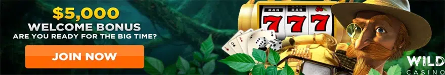 wild-casino-banner