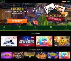 Wild Casino Review